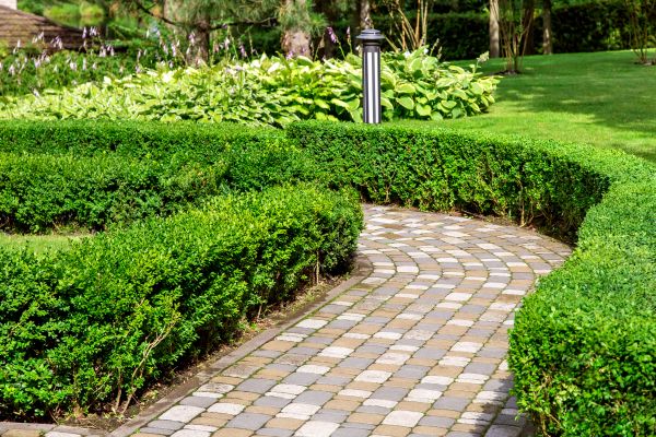 Paved Landscaping in Las Vegas