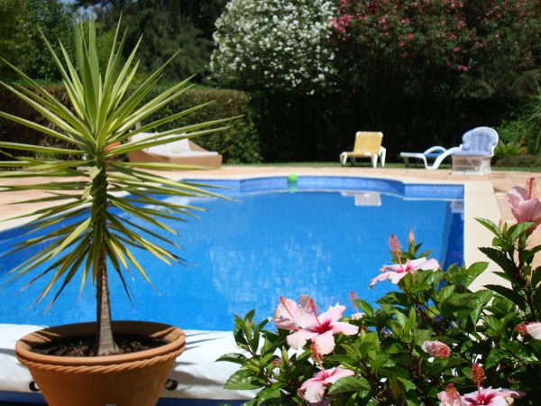 Pool Terrace Renovation in Las Vegas